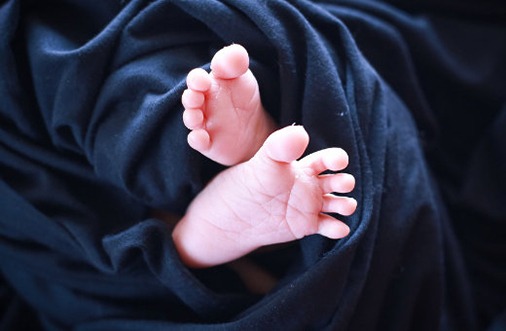 2022年正月初二出生宝宝乳名分享 最全系列孩子小名合集