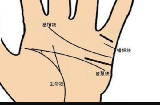 女人手掌纹路图解右手五条线 右手的手相分析