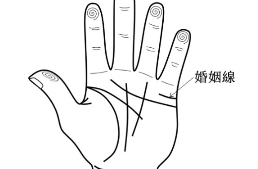 手掌纹怎么看手相图解男,男人感情线解析